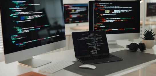 Desarrollo web